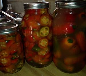 10479905_875265639168418_5566389703439773910_o[1]