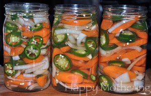 spicy-carrots-brine[1]