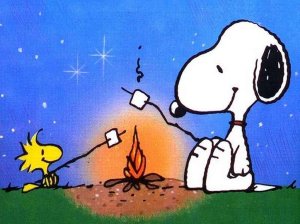 Snoopy_and_Woodstock_camping[1]