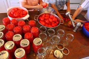 tomato-canning[1]