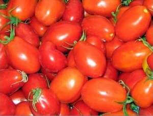 Tomato-Roma-VF[1]