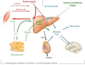 ketosis-1